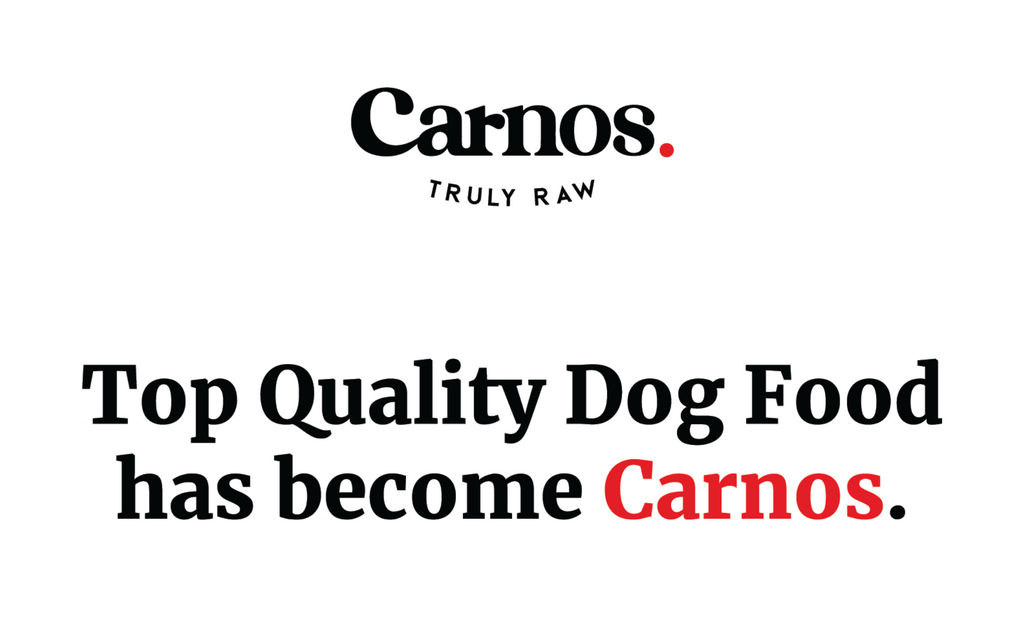 Carnos: Your Questions Answered About the Top Quality Dog Food Rebrand