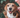 How To Feed Your Dog Tripe