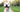 10 Pawsitively Raw Facts That Might Surprise You