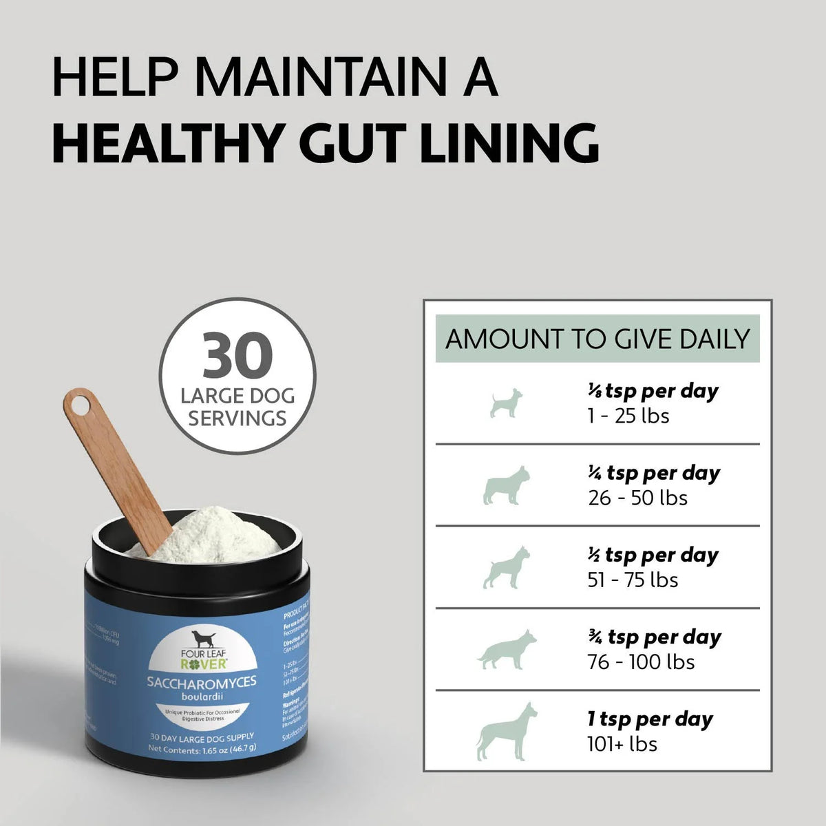 Saccharomyces boulardii YeastBased Probiotics For Dogs Top Dog