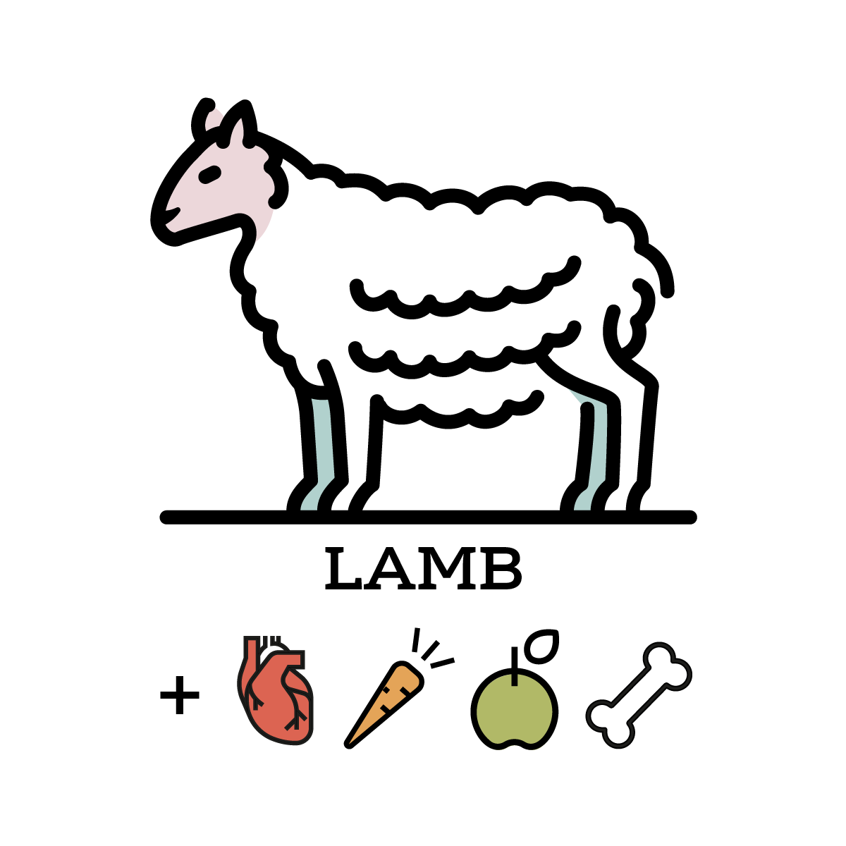 Lamb Healthy Variety Mix (now Variety Blend) Top Dog Food & Supply