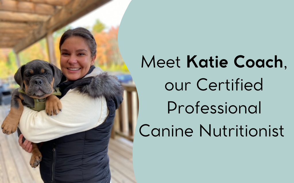 Meet Katie Coach, Our Certified Professional Canine Nutritionist (CPCN)