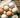 The Benefits of Raw Eggs: From Our Canine Nutritionist, Katie Coach