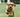 7 Day Pup-Thrive Challenge