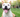 10 Pawsitively Raw Facts That Might Surprise You