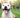 10 Pawsitively Raw Facts That Might Surprise You