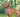 Fourth of July Dog Safety Tips: Keep Your Pup Safe, Calm, and Happy