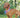 Fourth of July Dog Safety Tips: Keep Your Pup Safe, Calm, and Happy