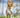 Spring It On: Top Tips to Make Your Pup Feel It's Best This Season